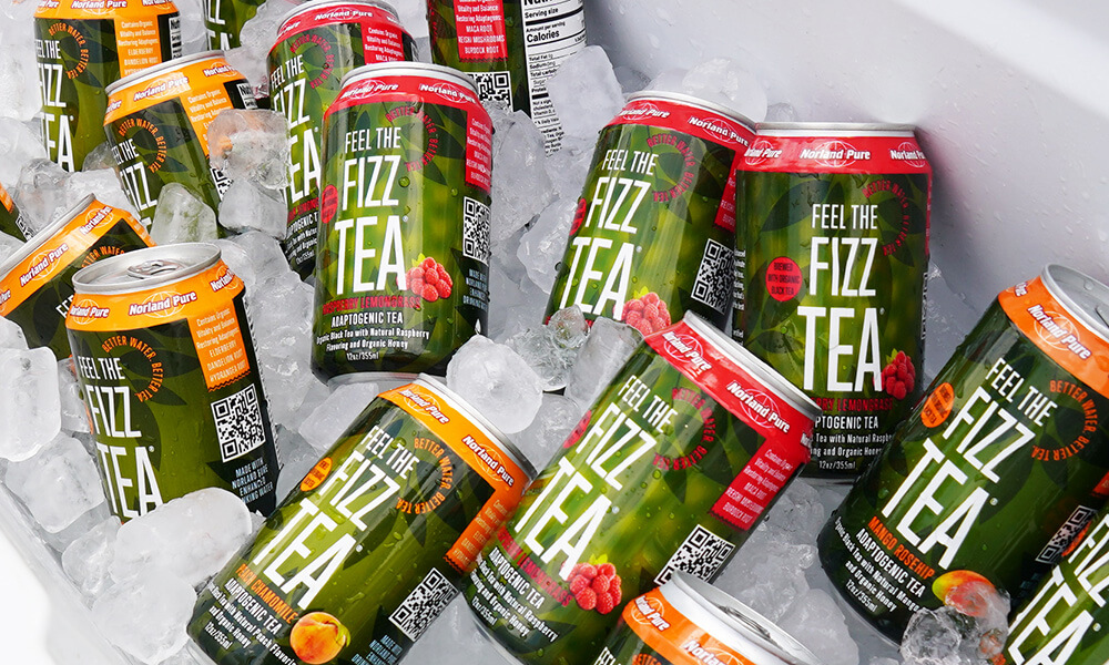 Cans of Feel the Fizz Tea in a cooler with ice